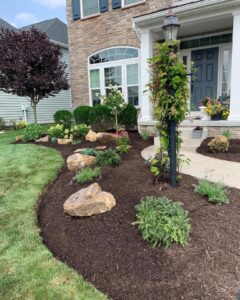 Landscape Design & Installation