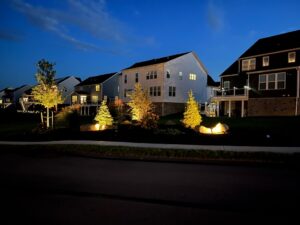 Landscape Lighting by Bell Landscaping