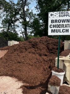 Brown Chocolate Mulch