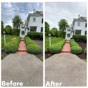 Landscaping Maintenance by Bell Landscaping