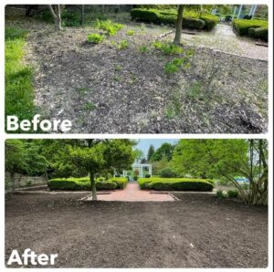 Landscaping Maintenance by Bell Landscaping