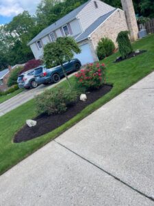 Landscaping Maintenance by Bell Landscaping