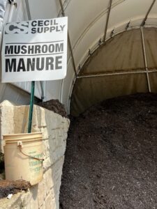 Mushroom Manure