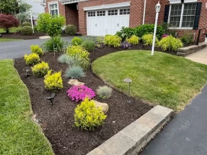 Maintenance by Bell Landscaping